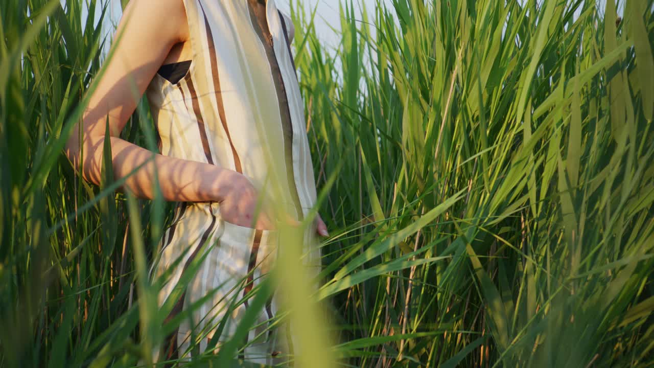 Static shot of a woman in a striped summer dress standing among tall, green reeds. The warm, golden hour sunlight illuminates the scene, creating a peaceful, serene, and natural atmosphere.