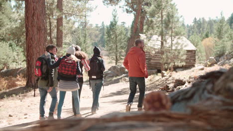 six friends walk on forest path towards log cabin, back view