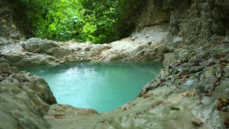 escena natural relajante, piscina natural entre rocas suaves en el bosque exuberante y tranquilo en un día ventoso