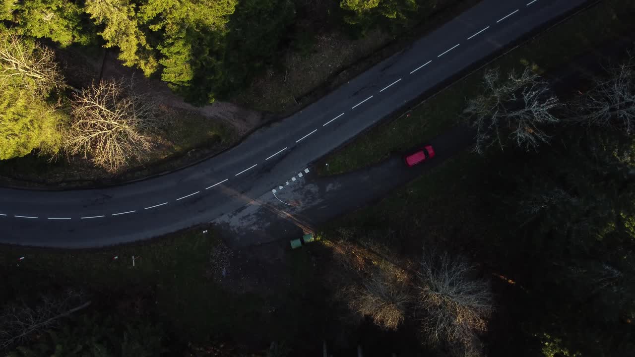 프랑스 의 제라드메르 근처 의 어두운 숲 에 있는 작은 도로
