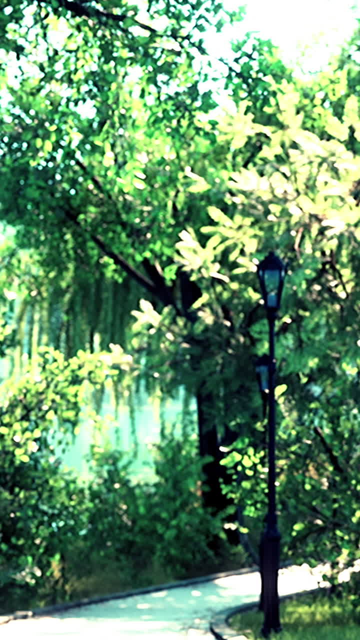 램프 기둥 이 있는 조용 한 공원 길