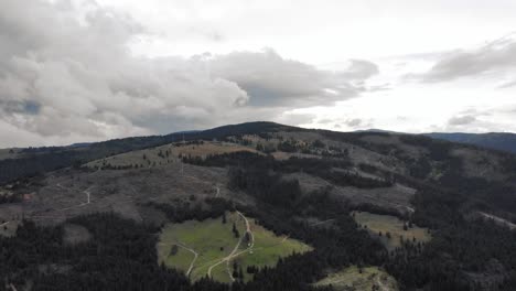 aerial view of forest in the mountain range on overcast day