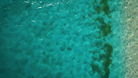 video de drones volando sobre un mar caribe azul claro en los roques, venezuela