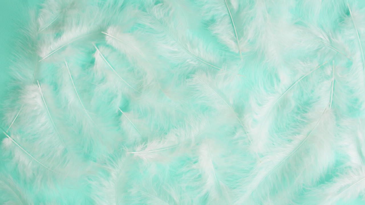 Mint Green Feather Background