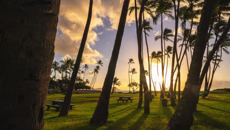 Sun-rising-behind-a-group-of-palm-trees-creating-beautiful-long-shadows-and-colors