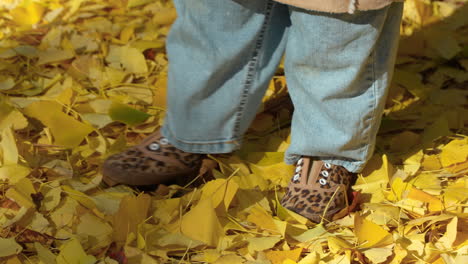 toddler's feet kicking autumn leaves in yangjae forest park, seoul