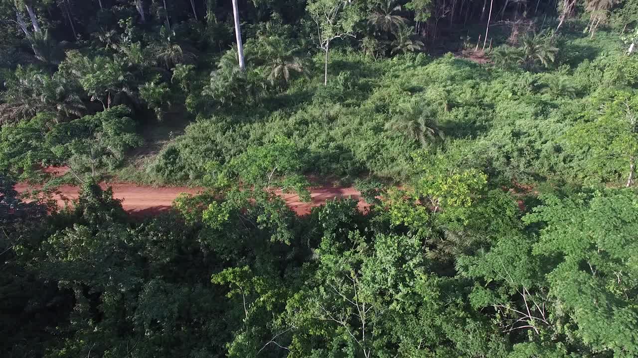 drone volando hacia el bosque mientras un jeep blanco conduce por el camino de tierra