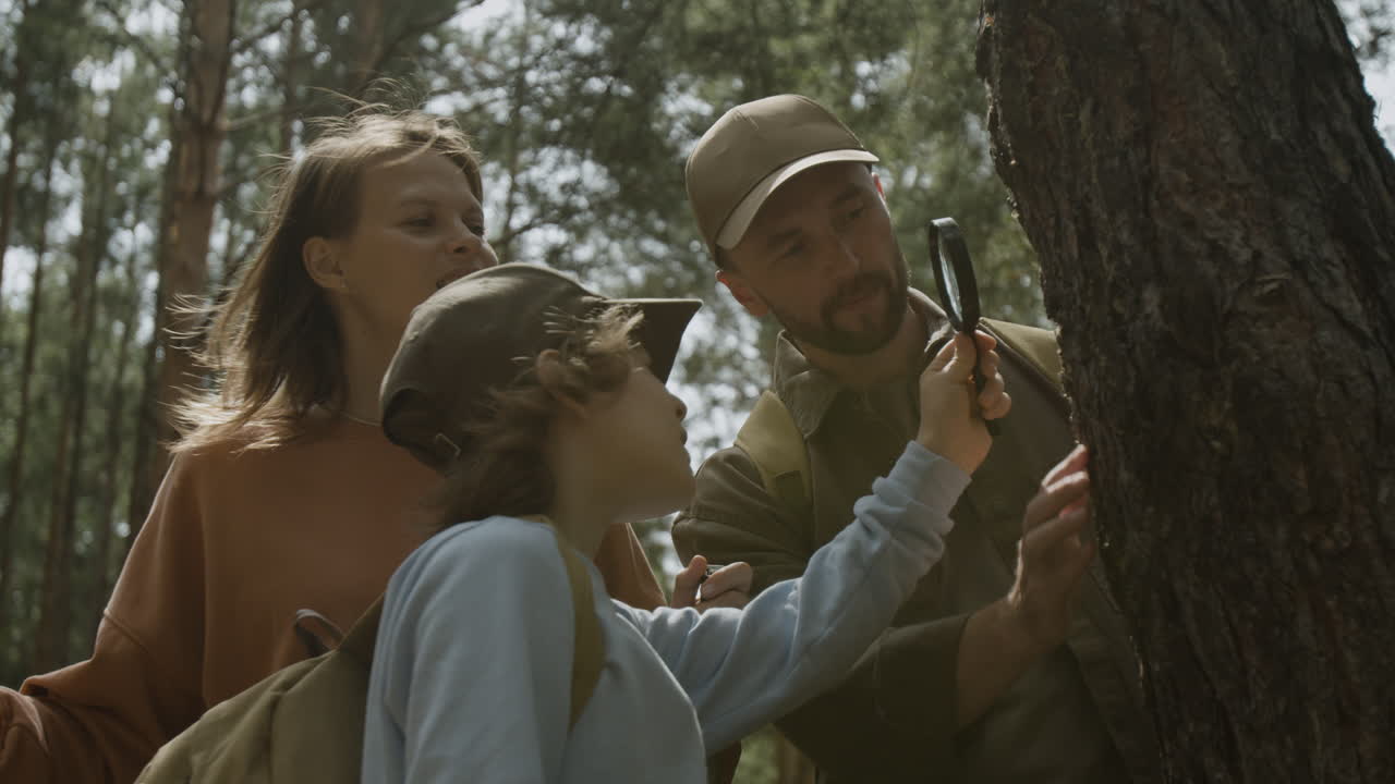 Family exploring nature in the forest