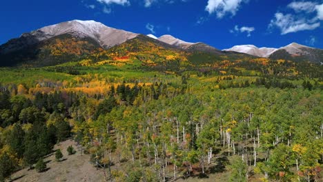 mount shavano tabeguache peak colligate swatch range salida buena vista aerial drone colorado fall autumn aspen trees color yellow orange morning sun blue sky san isabel national forest forwards pan