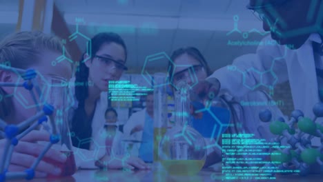 animación del procesamiento de datos y la fórmula química en diversos escolares y maestros