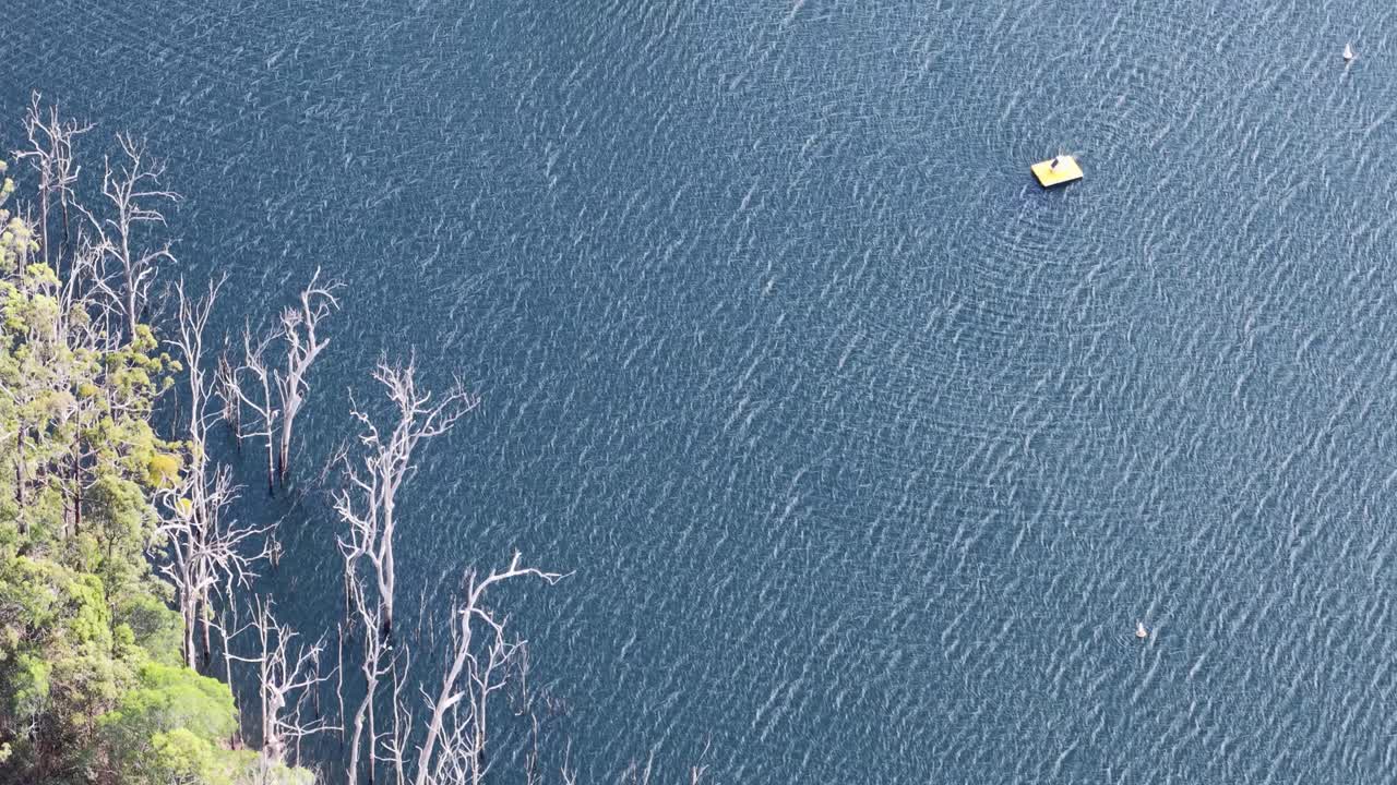 Drone glides above flooded forest, revealing dead trees, water, and reservoir infrastructure in daylight