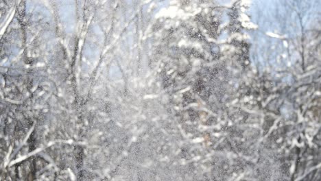 winter landscape during snowfall. winter christmas abstract background on super slow motion.