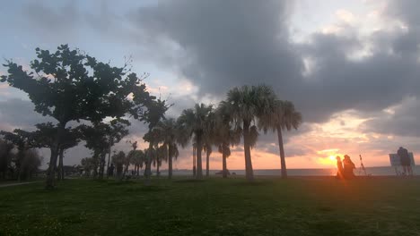 Time-Lapse-of-palm-trees-and-clouds-moving-in-different-directions