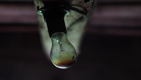 a dirty ceiling bulb covered with flies in a rural area