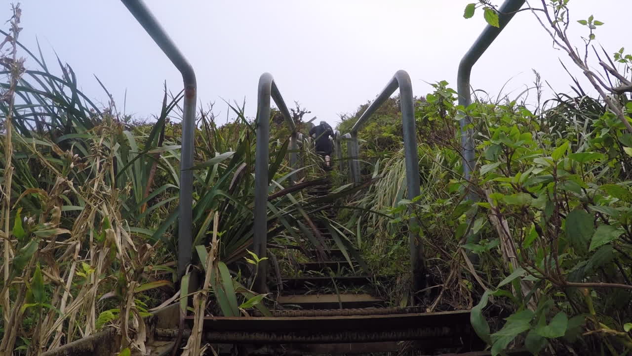 하이커는 오래된 호이스트 하우스를 향해 오아후섬의 무성한 하이쿠 계단을 올라갑니다.