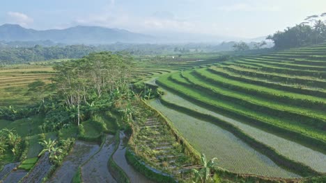 Drone-fly-over-on-the-beautiful-agricultural-field