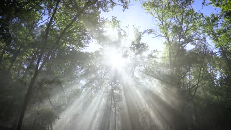 la luz celestial