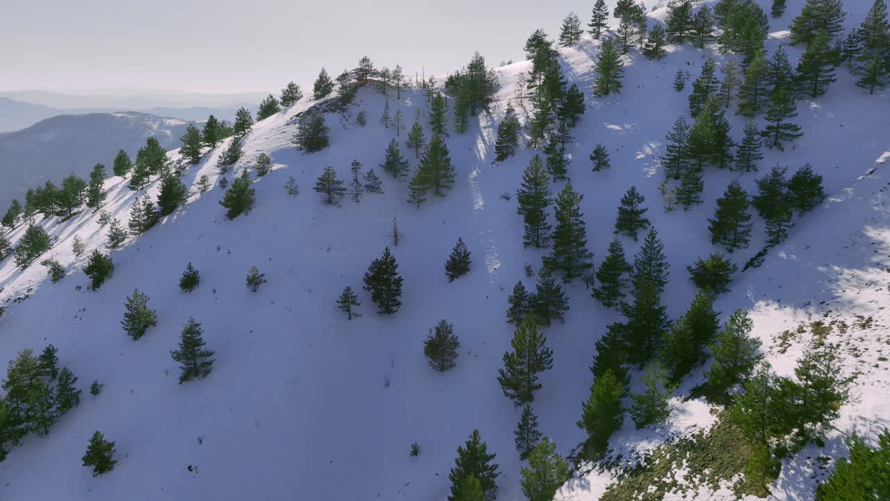 Aerial View of Snowy Mountain Forest in Winter