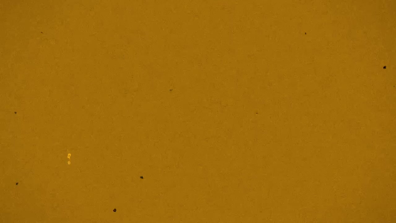 Sovrapposizione texture grana pellicola vintage con effetti di sfarfallio