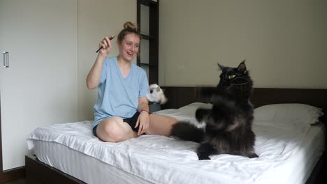 black cat owner sits on bed teasing her pet with a feather, slow motion