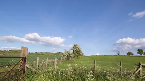english countryside 11