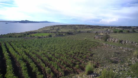 Paisaje-De-Follaje-Escénico-Junto-Al-Lago-Tranquilo-Bajo-Un-Cielo-Nublado-Con-Luz-Solar-Brillante-Durante-La-Puesta-De-Sol