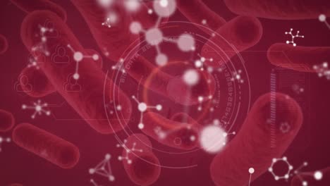 Animation-of-moving-cells-over-red-background