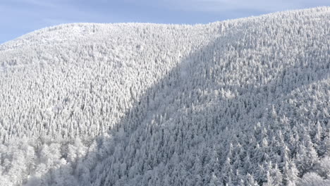 aerial shot of a winter mountain landscape, forest of conifer trees snow covered