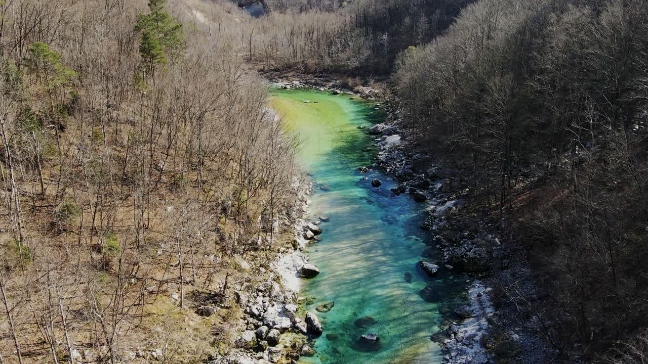 Aerial View of a Serene River Flowing Through a Forest