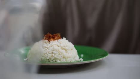 shot of a person about to eat a plate with a scoop of rice on it