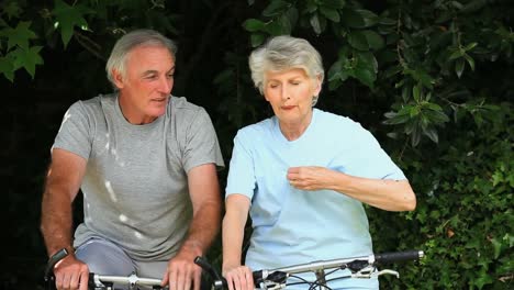 elderly couple having a bike ride