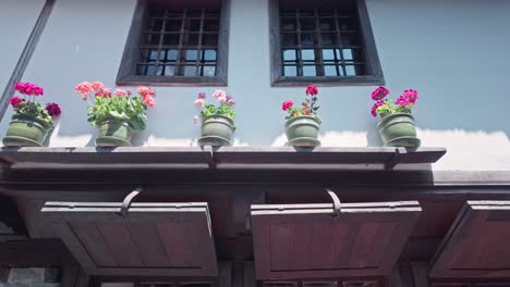traditional building facade with flower pots and windows