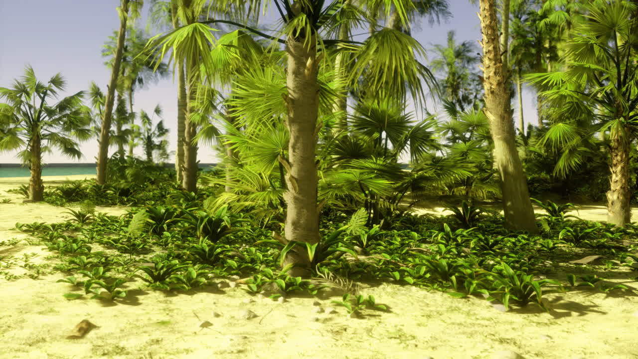 Lush tropical landscape with greenery and palm trees near the ocean