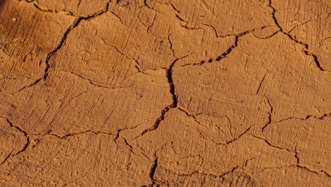 Soil-drying-in-the-hot-sun-with-cracks-forming---time-lapse
