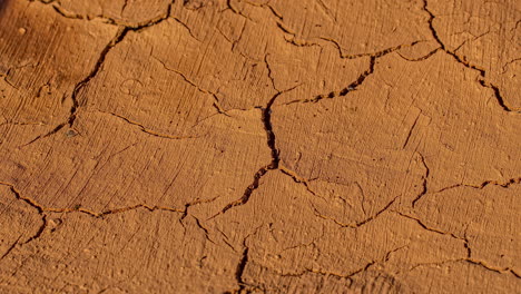 soil drying in the hot sun with cracks forming - time lapse