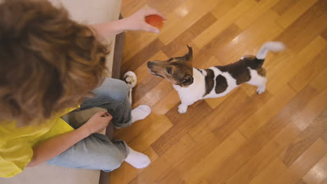 Vista-Superior-De-Un-Niño-Rubio-Con-El-Pelo-Rizado-Sentado-En-El-Sofá-Mientras-Juega-Con-Su-Perro-Mientras-Sostiene-Una-Pelota