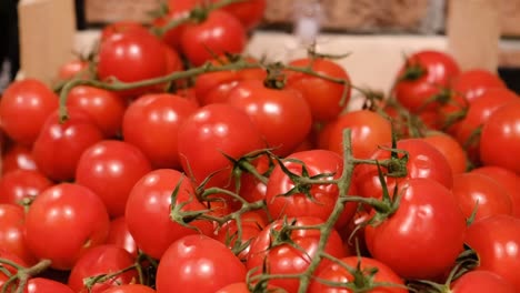 red tomatoes in cardboard boxes in the market red tomatoes in cardboard boxes in the market vegetables on the market