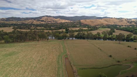 Over-cows-and-farmland-and-approaching-the-Goulburn-River-near-Eildon,-Victoria,-Australia