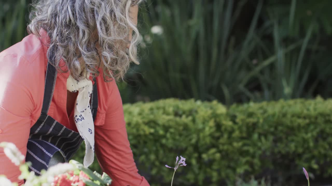 una mujer caucásica mayor feliz sosteniendo ollas de plantas replantando flores en el jardín, en cámara lenta.