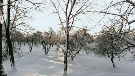 Nordischer-Winterlandschaftsflug-Aus-Der-Luft-über-Den-Verschneiten-Bergwald-Bei-Sonnenuntergang.