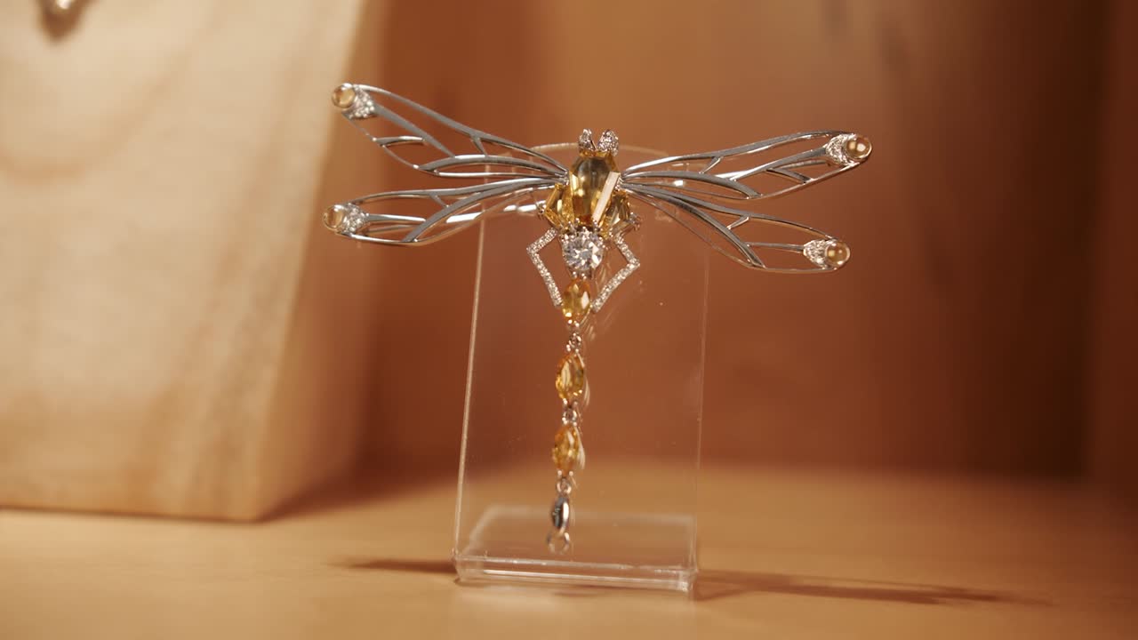 primer plano de la joyería con forma de libélula en la pantalla