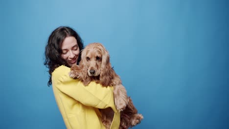 funny english cocker spaniel posing with a woman in studio. is playing happy.