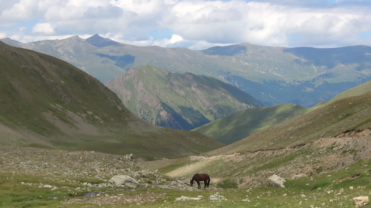 Wide mountain valley with a lone horse grazing on alpine meadow under cloudy sky in Dombay, Caucasus, Russia, scenic summer nature travel background