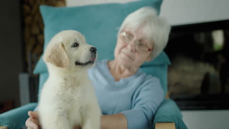 a lovely elderly woman is resting in a chair with a puppy in her arms. secure old age and well-being