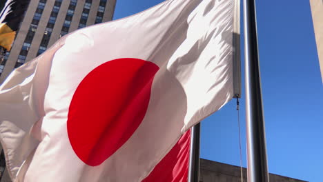 international flags from around the world