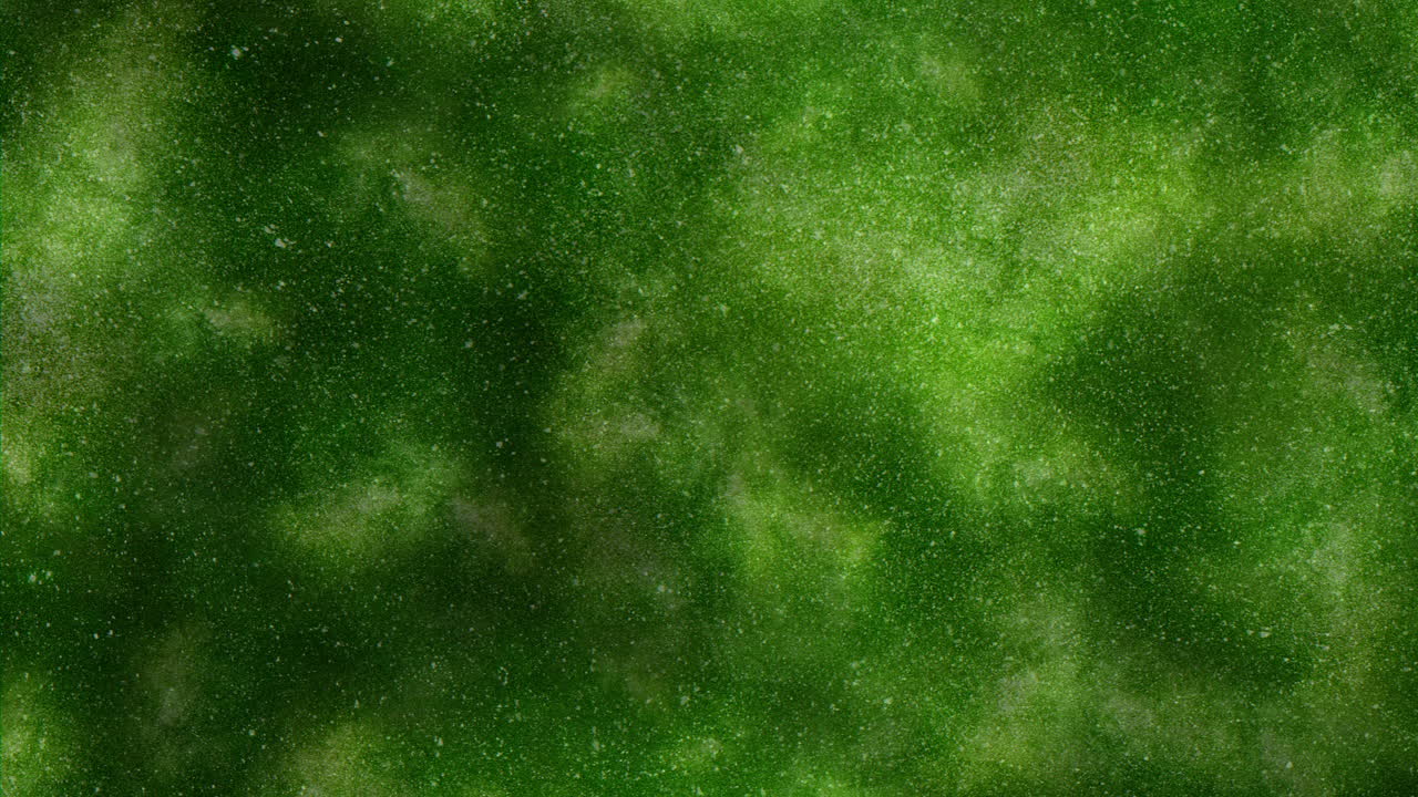 A close-up of a vivid green surface with tiny white specks, resembling a wall or interior setting. The intricate texture conveys a sense of depth and detail