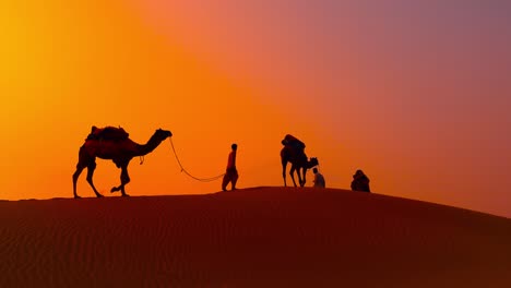 Cameleers,-camel-Drivers-at-sunset.-Thar-desert-on-sunset-Jaisalmer,-Rajasthan,-India.