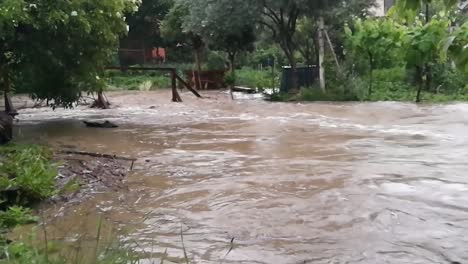 Hochwasserbach,-Der-Nach-Starkem-Regen-Zwischen-Gärten-Tobt