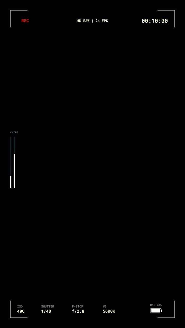 Digital Camera Recording Interface Overlay