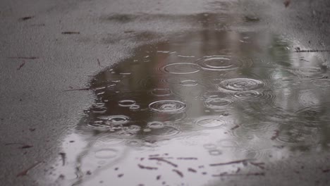 slow motion footage of light rain on asphalt